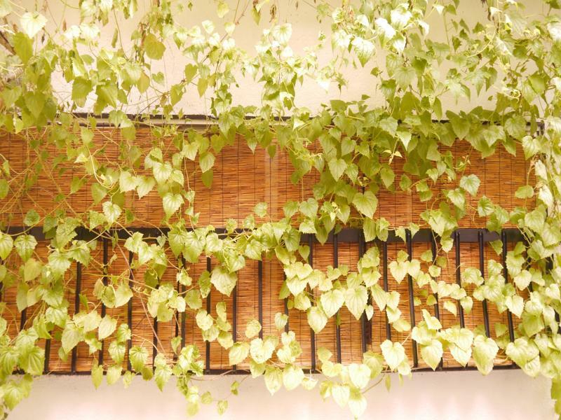 Serendipity At Kyoto Quioto Exterior foto