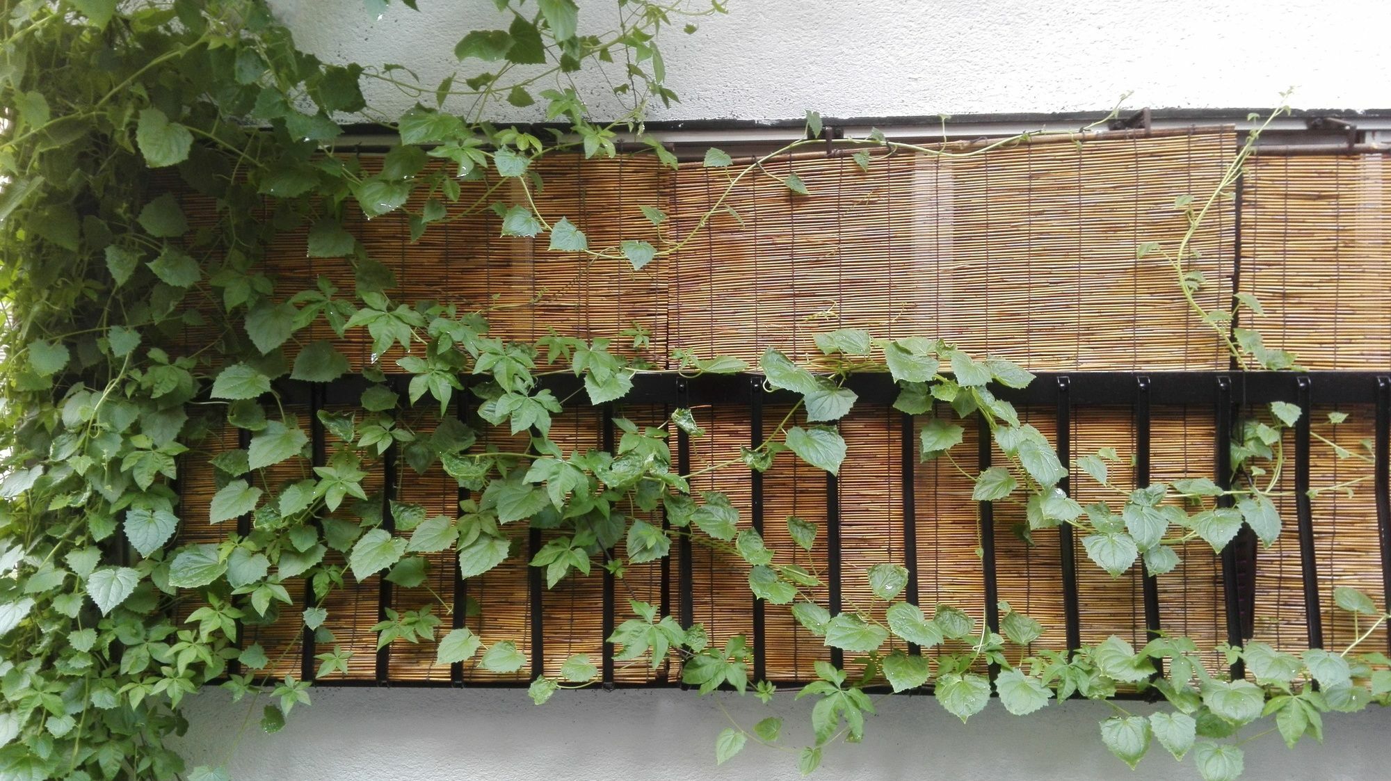 Serendipity At Kyoto Quioto Exterior foto